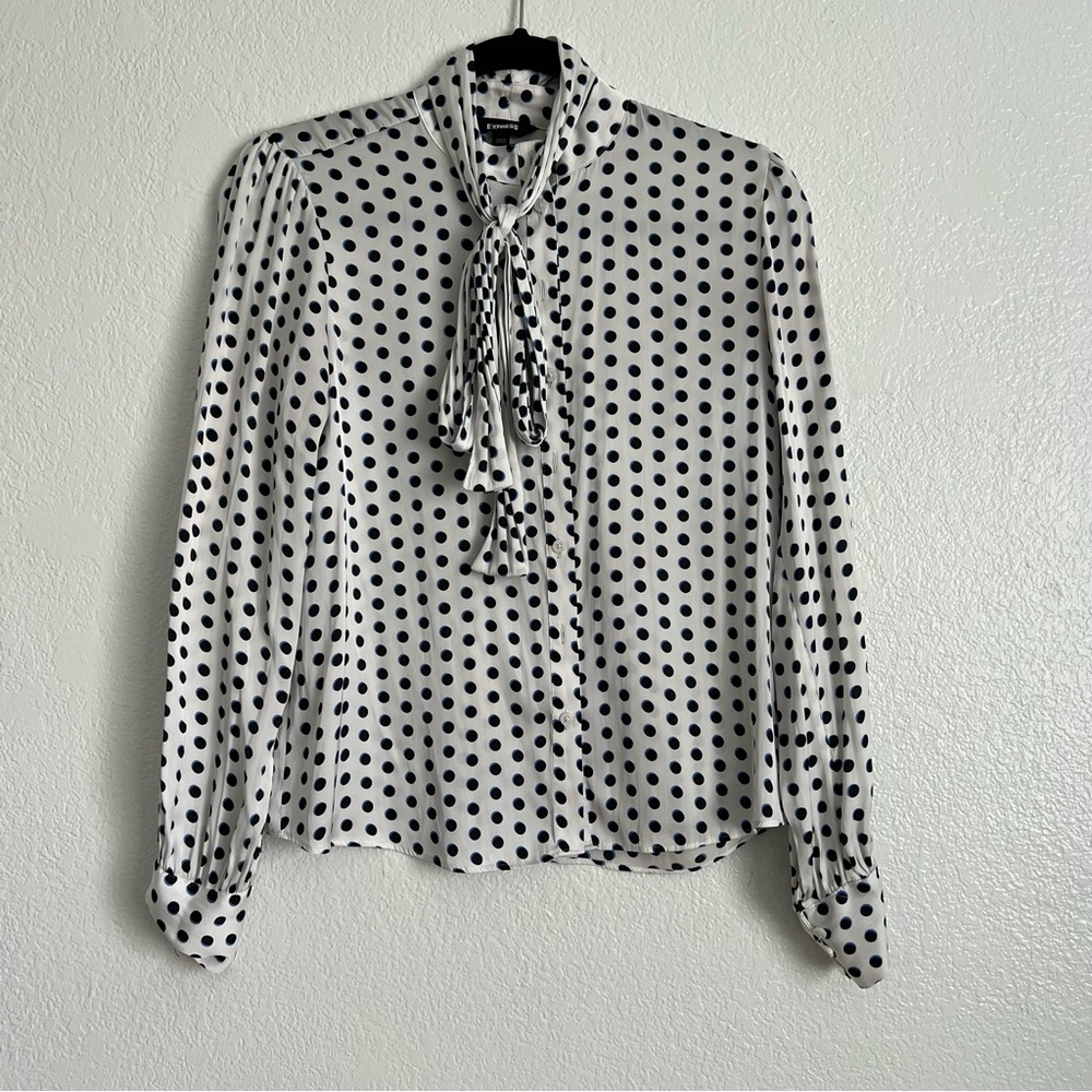 Express Satin Polkadot Blouse Size XS
